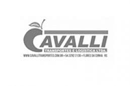 Cavalli